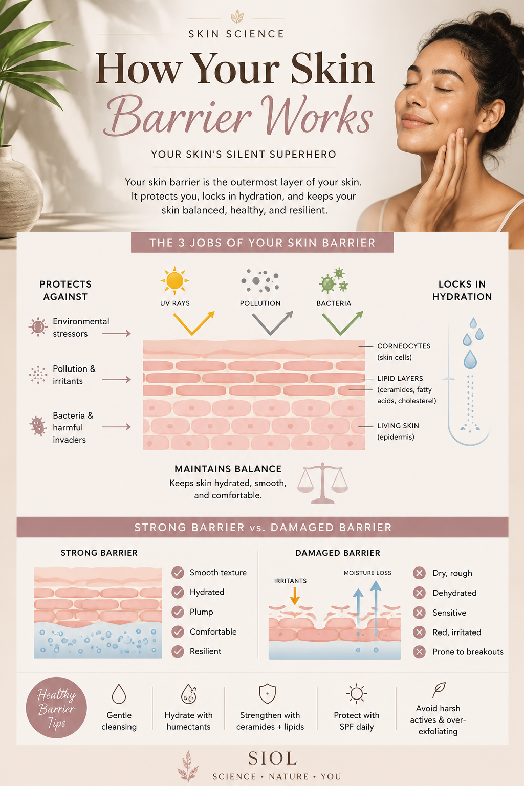 The Skin Barrier: Your Invisible Superhero